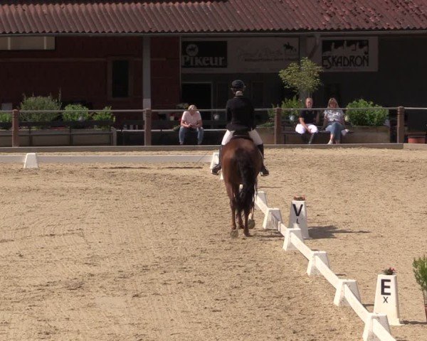 Reitturnier Uder, Reitanlage Kobold 2025