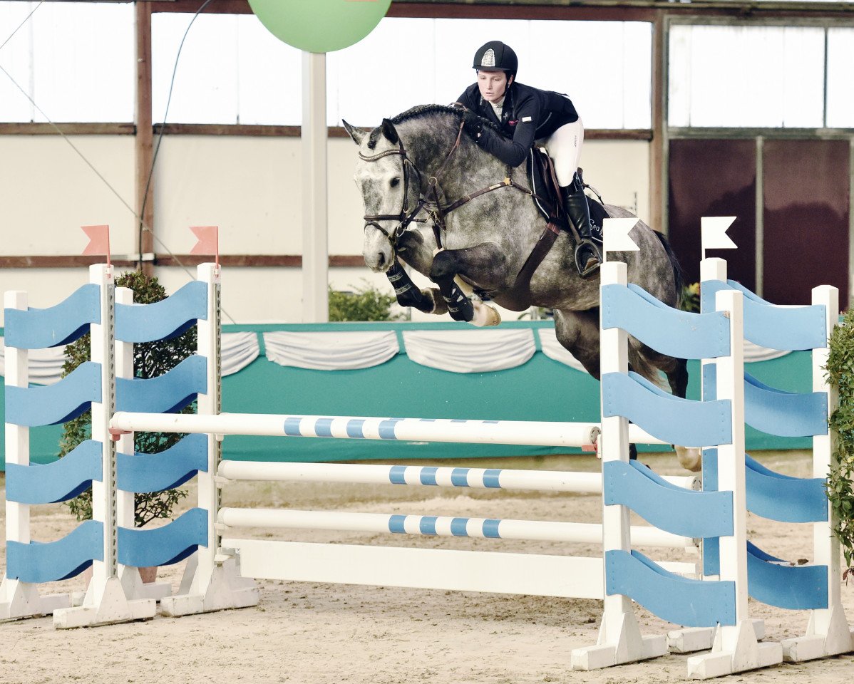 stallion Alaba 2 (Rhinelander, 2012, from Arpeggio)