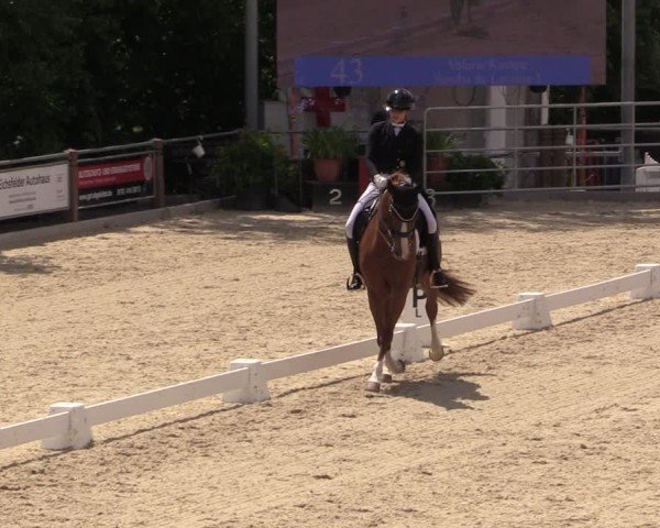 Reitturnier Uder, Reitanlage Kobold 2025
