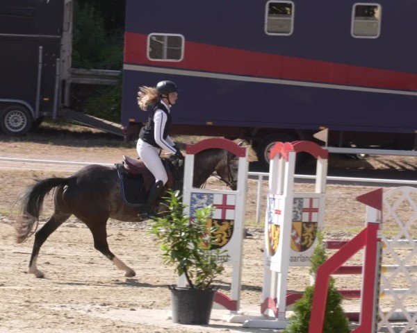 Reitturnier Heiligenwald 2025