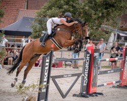 jumper Frieda 385 (Oldenburg show jumper, 2017, from For Cornet)