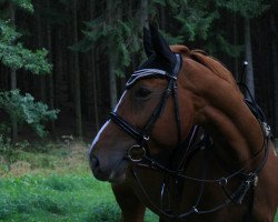 jumper Rafinha (Hanoverian, 2008, from Rudelsburg)