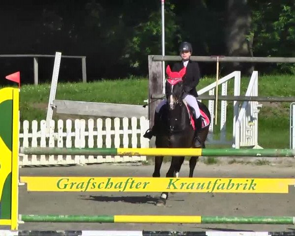8. Adendorfer Burgturnier