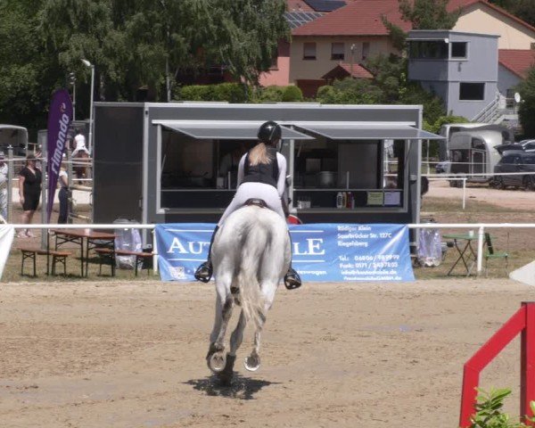 Reitturnier Heiligenwald 2025