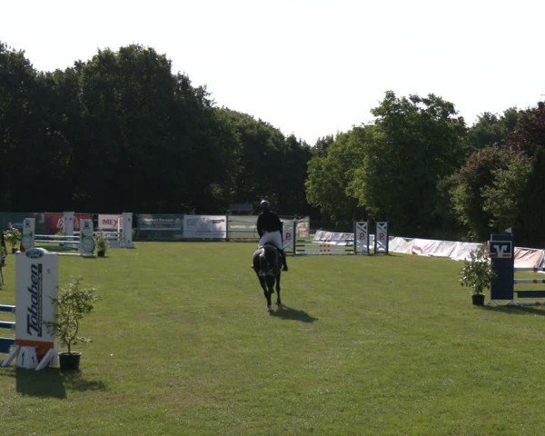 Reitturnier Wohlesbostel 2025