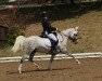 dressage horse Ganesha (German Riding Pony, 2009, from Greylight)