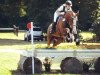 dressage horse Rayhana (German Sport Horse, 2004, from Regent)