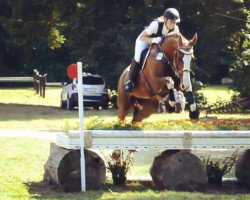 dressage horse Rayhana (German Sport Horse, 2004, from Regent)