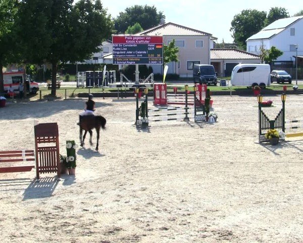Reitturnier Ingolstadt-Hagau/Obb. 2025