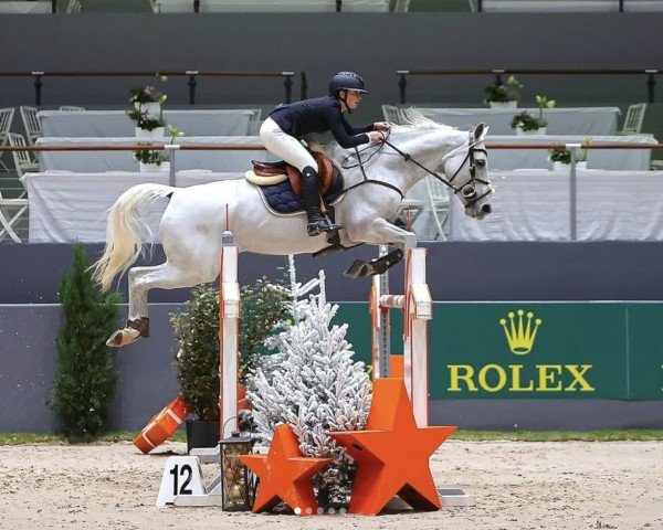 Springpferd Callas des Ivernons Z (Zangersheide Reitpferd, 2010, von Cornet's Stern)
