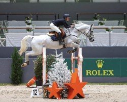 jumper Callas des Ivernons Z (Zangersheide riding horse, 2010, from Cornet's Stern)
