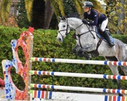 jumper Jamaica (KWPN (Royal Dutch Sporthorse), 2014, from Up To Date)