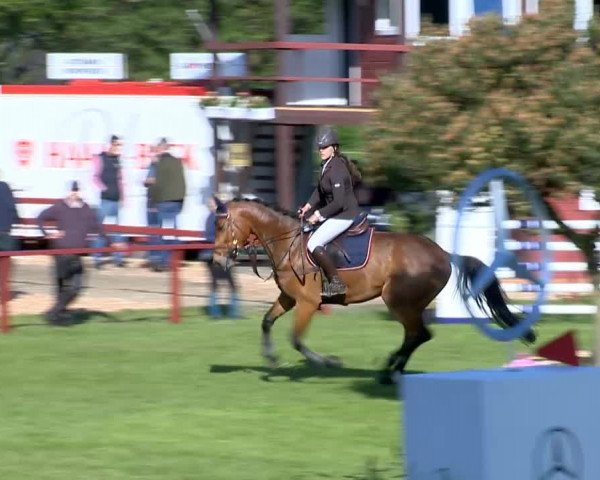Bremen - Reitanlage Forkert 2014