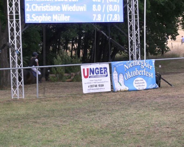 Reitturnier Niederwerbig 2025