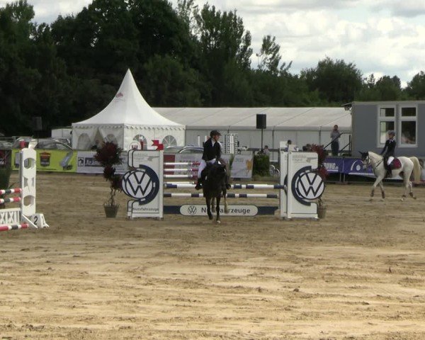 Reitturnier Neustadt/Dosse 2025