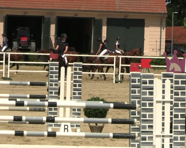 Reitturnier Neustadt/Dosse 2025