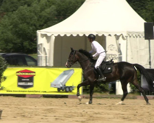 Reitturnier Neustadt/Dosse 2025