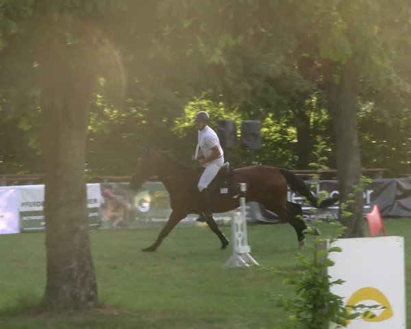 Reitturnier Burgstädt 2025