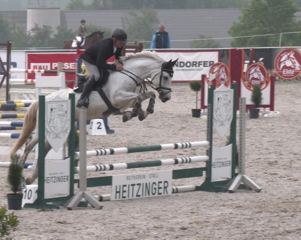 Springturnier Seewalchen 2025