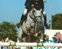 Zuchtstute Nanda von Whitemoon CH (Schweizer Warmblut, 2001, von Calando II)