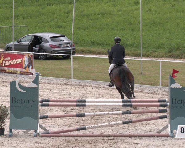Springturnier Seewalchen 2025