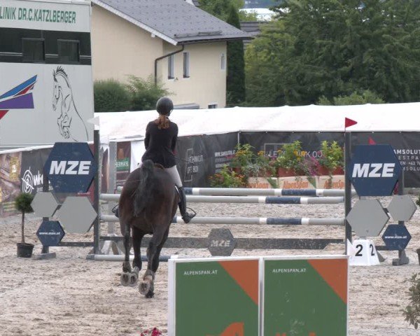 Springturnier Seewalchen 2025