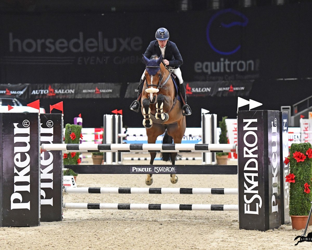 Springpferd Obora's Paris (Tschechisches Warmblut, 2013, von Luidam)