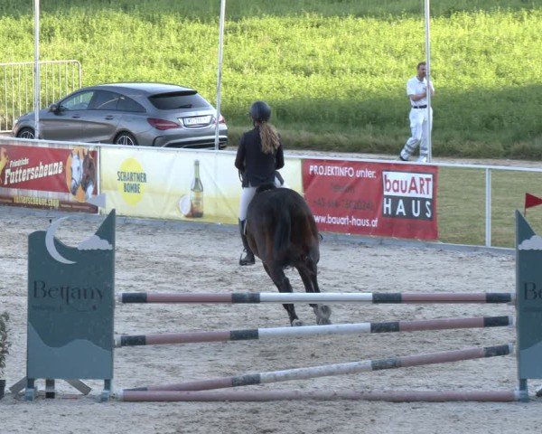 Springturnier Seewalchen 2025