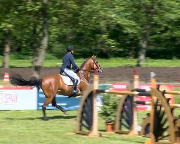 Bremen - Reitanlage Forkert 2014