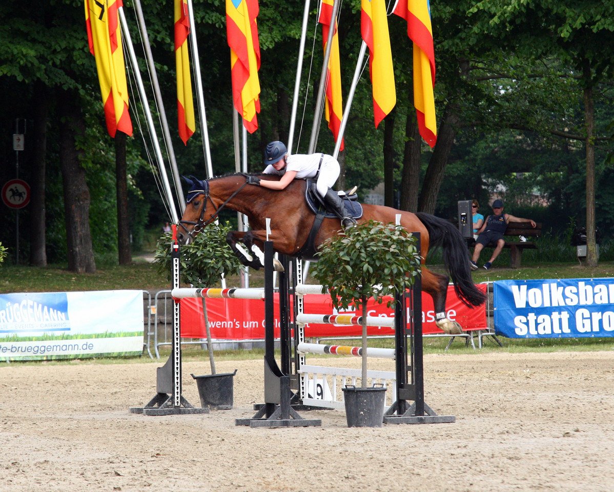 broodmare Claire de Lune 11 (Rhinelander, 2007, from Coronados-Boy)