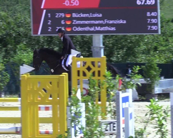 Reitturnier Lindlar-Süttenbach 2025