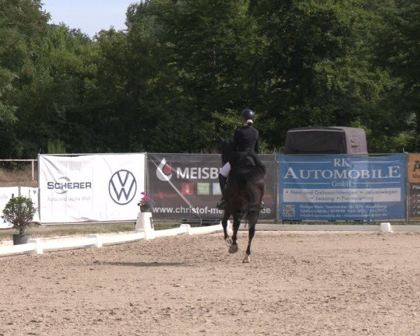 Reitturnier Heiligenwald 2025