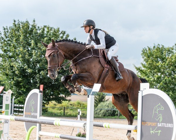 jumper Qualitos Legacy (Hanoverian, 2018, from Qualito)