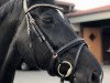 dressage horse Odessa 218 (KWPN (Royal Dutch Sporthorse), 2006)