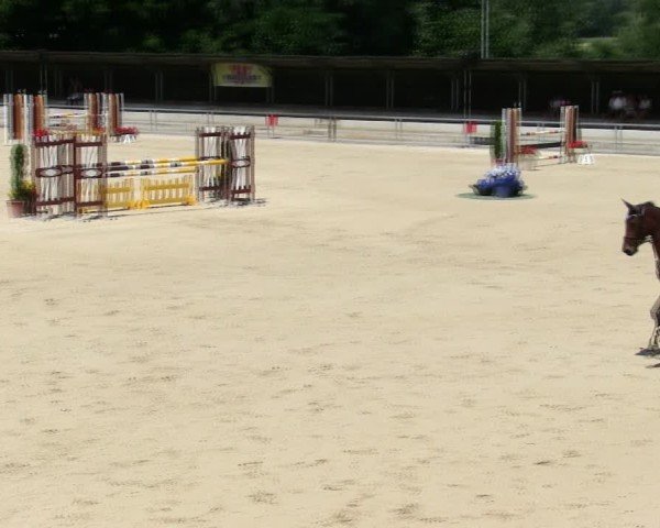 Reitturnier Ingolstadt-Hagau/Obb. 2025