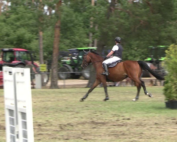 Reitturnier Niederwerbig 2025