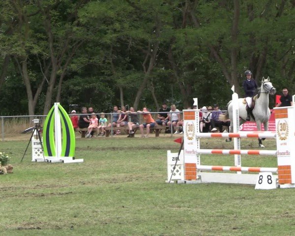 Reitturnier Niederwerbig 2025