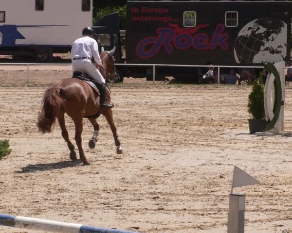 Reitturnier Heiligenwald 2025