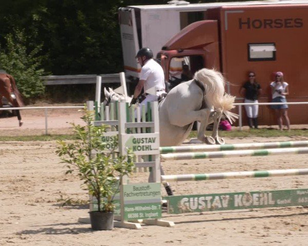 Reitturnier Heiligenwald 2025