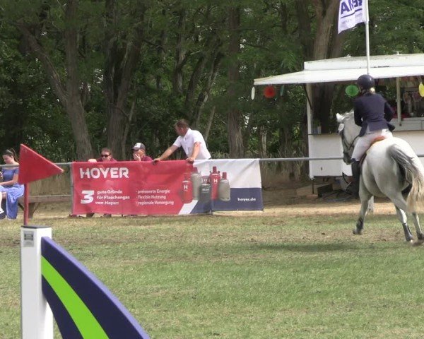 Reitturnier Niederwerbig 2025