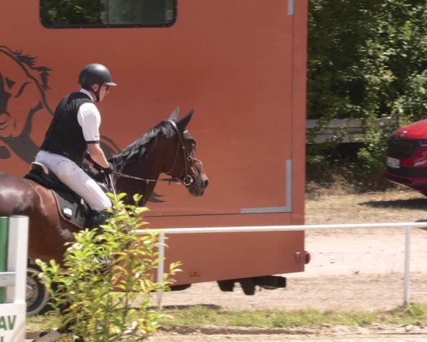 Reitturnier Heiligenwald 2025
