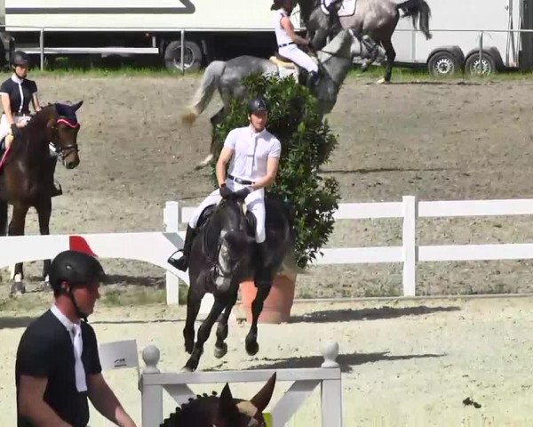 Springturnier Isny 2014