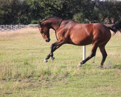 broodmare Magdalena 3 (Bavarian, 2002, from Rautenstein)