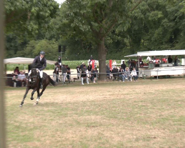 Reitturnier Wohlesbostel 2025