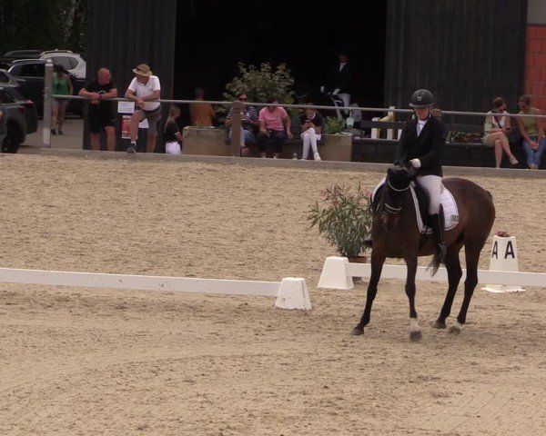 Reitturnier Uder, Reitanlage Kobold 2025