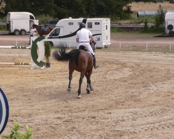 Reitturnier Heiligenwald 2025