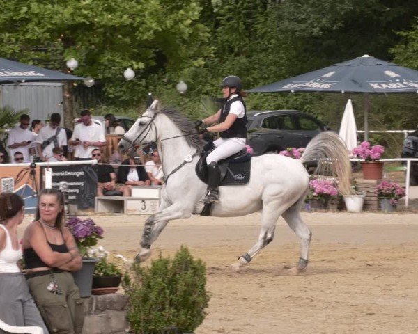 Reitturnier Heiligenwald 2025