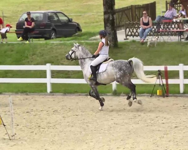 Springturnier Isny 2014
