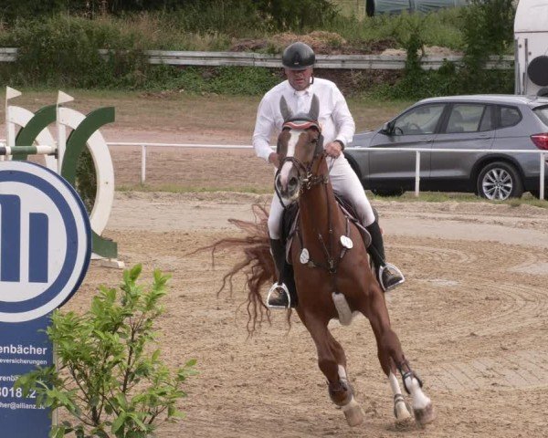 Reitturnier Heiligenwald 2025