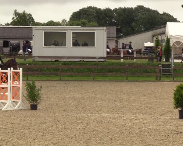 Reitturnier Niebüll 2025